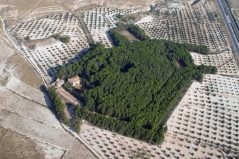 La Mancomunidad estudia comprar El Poblet