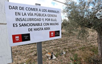 Gatitos en Apuros pide que no se multe con hasta 600 euros por alimentar a los animales en v&iacute;a p&uacute;blica