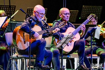 Petrer se sumerge en 15 d&iacute;as de guitarra con el festival Jos&eacute; Tom&aacute;s