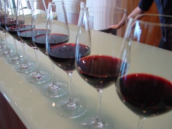 La variedad de la uva monastrell