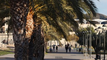 La Polic&iacute;a pide m&aacute;s colaboraci&oacute;n ciudadana en los parques de Elda y Petrer