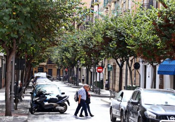 El Ayuntamiento saca a concurso un contrato para la poda de &aacute;rboles y palmeras en parques y jardines