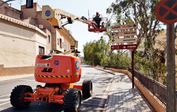 Poda especializada de los &aacute;rboles de la avenida de Novo Hamburgo