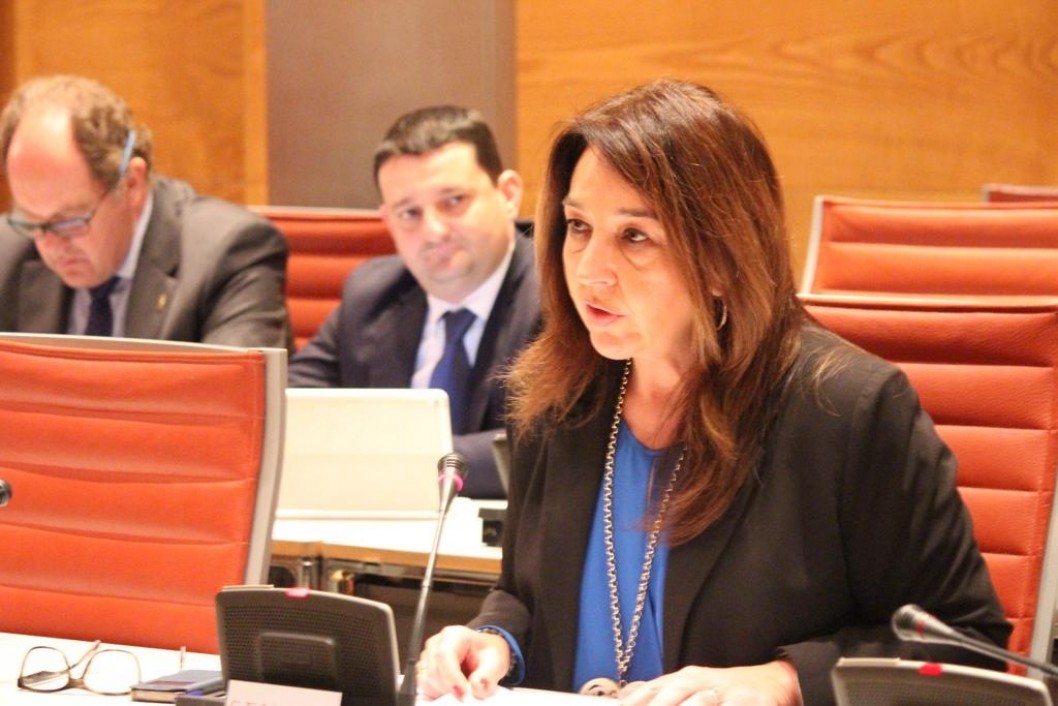 El Senado aprueba dar apoyo económico al Museo del Calzado para salvarlo El Senado aprueba dar apoyo económico al Museo del Calzado para salvarlo