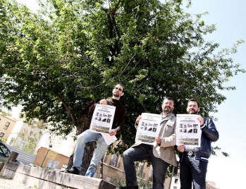 La Ruta Arbolado Singular se realiza por primera vez para dar a conocer los ejemplares arb&oacute;reos del n&uacute;cleo urbano