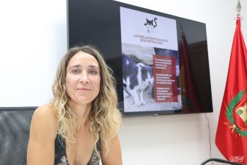 &ldquo;&iexcl;La poblaci&oacute;n felina est&aacute; descontrolada!&rdquo;