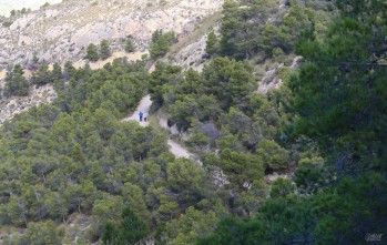 Un ciclista herido tras caer por el camino de los chaparrales 