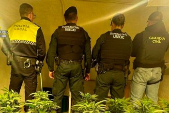 Polic&iacute;a Local de Elda y Guardia Civil desmantelan una plantaci&oacute;n de cannabis
