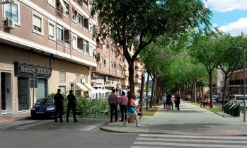 Un &aacute;rbol se parte por la mitad y corta un carril de la avenida Felipe V de Petrer