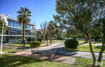 Los ciudadanos votan la renovaci&oacute;n del antiguo parque Infantil de tr&aacute;fico de Las Trescientas en los Presupuestos Participativos