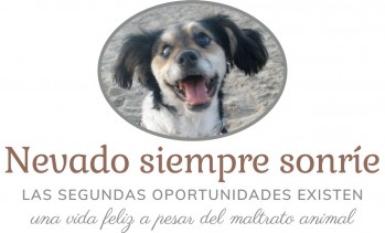 Descubre "Nevado siempre sonr&iacute;e", un blog solidario cuyo objetivo es dar voz a los animales y luchar por sus derechos