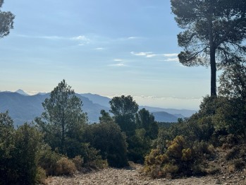 Temperaturas propias de la can&iacute;cula