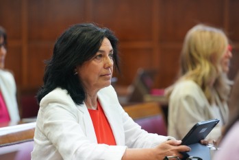 La senadora eldense Loles Esteve defiende la ampliaci&oacute;n de la potencia el&eacute;ctrica en pol&iacute;gonos