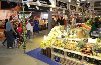 Segunda edici&oacute;n de Alicante Gastron&oacute;mica