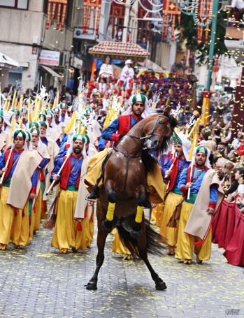 Rechazan crear un &oacute;rgano para evitar que haya maltrato animal en las fiestas de Elda