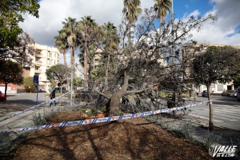 Nueva alerta amarilla por rachas de viento