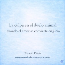 La culpa en el duelo animal