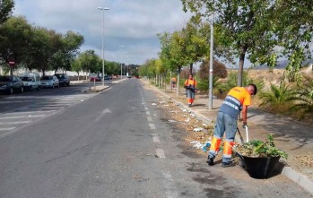 Limpieza a fondo en los pol&iacute;gonos de Elda