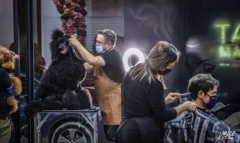 Peinarse junto a la mascota es posible con Mundo Vivo y la peluquer&iacute;a Charo Gir&oacute;n