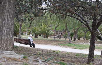 Los Jardines del Vinalop&oacute; ser&aacute;n el escenario de una representaci&oacute;n teatral de Carasses esta noche