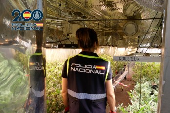 Un detenido por tr&aacute;fico de drogas, tenencia il&iacute;cita de armas y defraudaci&oacute;n de fluido el&eacute;ctrico en Petrer