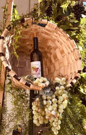 La viticultura heroica (3&ordf; parte):  DOP Cangas