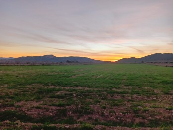 Temperaturas m&aacute;ximas primaverales