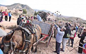 La Mayordom&iacute;a celebra la octava ruta de recogida de le&ntilde;a para la hoguera de San Ant&oacute;n 