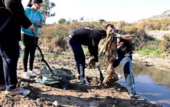 Numerosas personas participan en las tareas de limpieza del r&iacute;o Vinalop&oacute; 