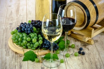 Derivados del vino (2&ordf; parte)