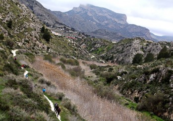 El Consejo Sectorial de Medio Ambiente vuelve a convocarse cuatro a&ntilde;os despu&eacute;s