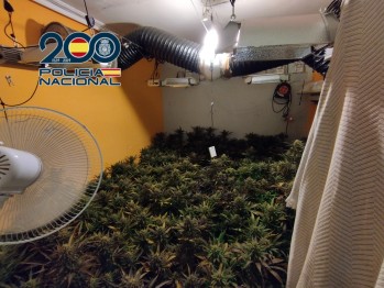 Desarticulado un grupo criminal dedicado al cultivo &ldquo;indoor&rdquo; de marihuana