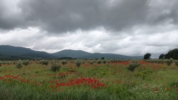 Continuaremos con tiempo variable