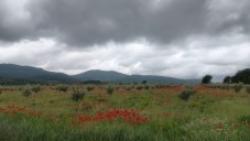 Continuaremos con tiempo variable