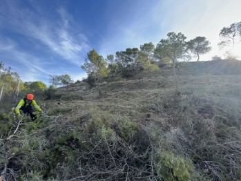 Petrer desbrozar&aacute; una faja de prevenci&oacute;n de incendios en la Loma Bad&aacute;