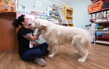 Perretes re&uacute;ne todas las medidas sanitarias para ofrecer un mejor servicio a sus clientes