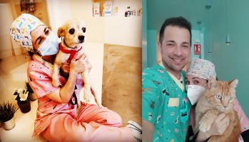 Conf&iacute;a tu mascota a la Cl&iacute;nica Veterinaria Vinalop&oacute;