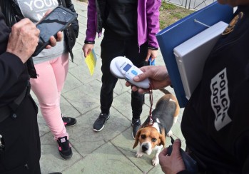 La Polic&iacute;a Local de Petrer intensifica sus controles de mascotas y pondr&aacute; multas de entre 80 y 18.000 euros