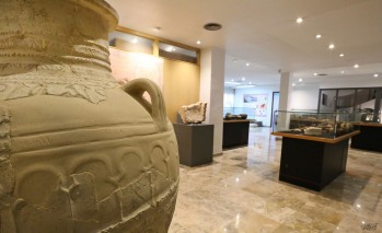 Los museos de Elda, en estado cr&iacute;tico