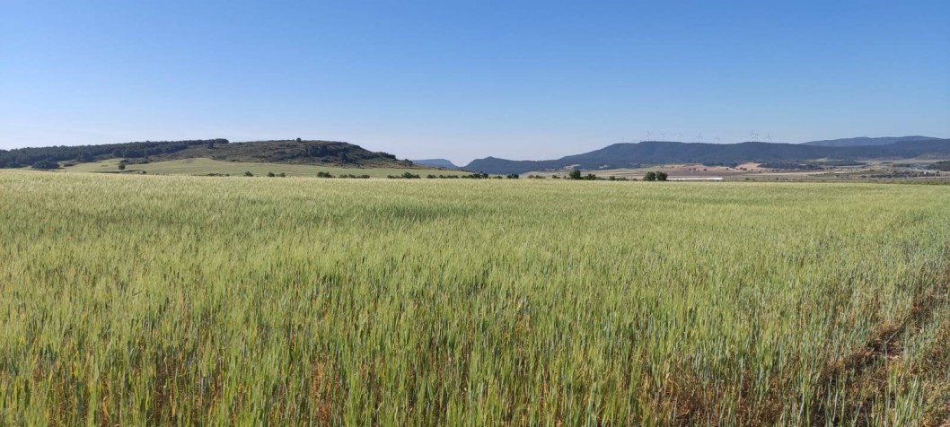 Más nubes y temperaturas más apropiadas para esta época del año Más nubes y temperaturas más apropiadas para esta época del año