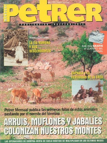 Petrer Mensual N&ordm; 41 - Mayo de 2004