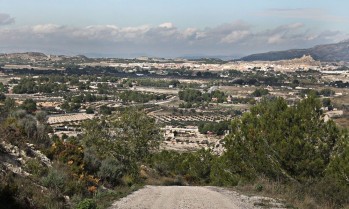 La Polic&iacute;a Local detiene a un hombre mientras roba en un campo en la zona de la carretera de Sax