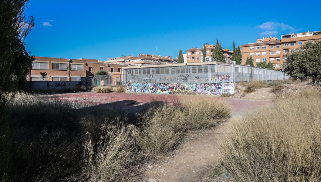 IU pide que se mantengan limpias las sendas a espaldas del IES Paco Mollá de Petrer IU pide que se mantengan limpias las sendas a espaldas del IES Paco Mollá de Petrer