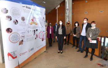 El Museo del Calzado incluye visitas autoguiadas