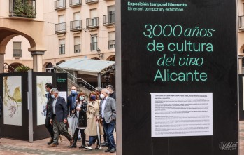 Catas y cine para cerrar la exposici&oacute;n sobre vinos de Alicante