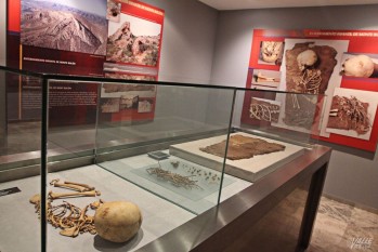 El Museo Arqueol&oacute;gico se suma al D&iacute;a Internacional de los Museos con visitas guiadas durante el fin de semana 