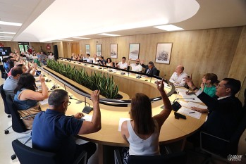 El pleno aprueba la mejora del transporte universitario y de formaci&oacute;n profesional
