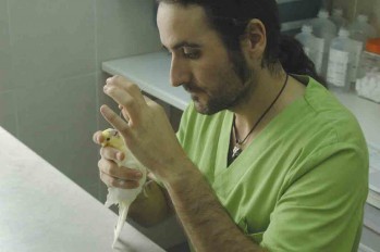 La Cl&iacute;nica Veterinaria Amazonia atiende a mascotas de compa&ntilde;&iacute;a y tambi&eacute;n a animales ex&oacute;ticos
