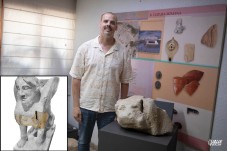 Identifican una esfinge funeraria romana en los fondos del Museo Arqueol&oacute;gico de Elda