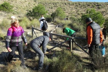 M&aacute;s de 120 eldenses celebraron el D&iacute;a del &Aacute;rbol repoblando la pinada del Trinitario